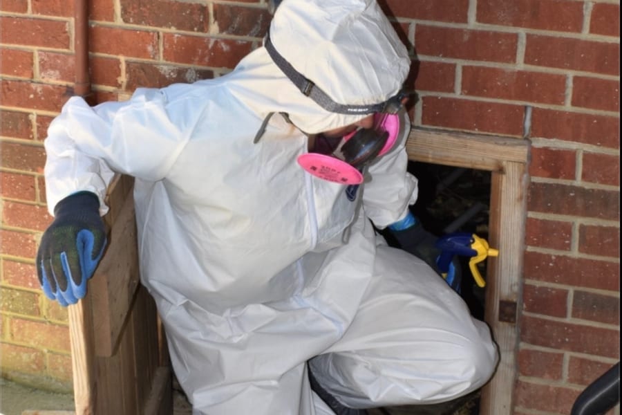 Drip Ninjas restoration team at work